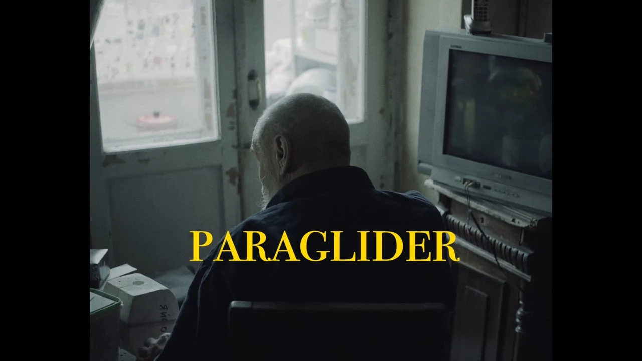 Paraglider
